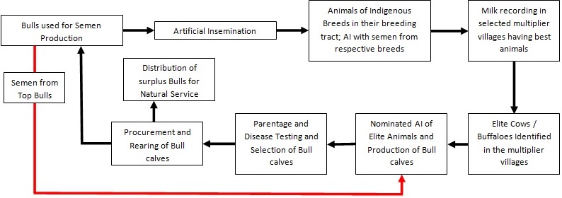 Pedigree selection method used for development of CSV 44F